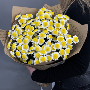 Букет "Моё солнышко" из 11 хризантем сантини  в Бронницах