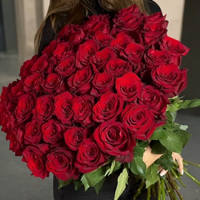Букет 51 роза Эквадор Эксплорер (70 см) в Бронницах