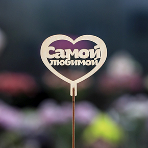 Топпер Самой Любимой в Бронницах