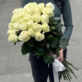 Монобукет из 25 роз Эквадор Мондиаль (80 см) в Бронницах