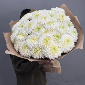Букет из 27 хризантем Магнум в Бронницах
