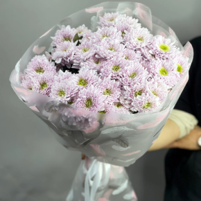 Букет "Нежный комплимент" из 9 кустовых хризантем в Бронницах