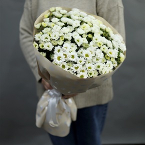 Букет "Милая моя" из 17 хризантем сантини в Бронницах