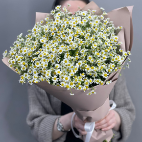 Букет из 17 полевых ромашек в Бронницах