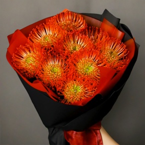 Букет из 9 лейко в Бронницах