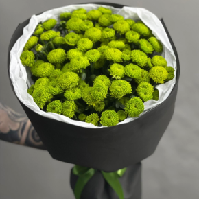 Стильный букет "Лайм" из 15 хризантем сантини в Бронницах
