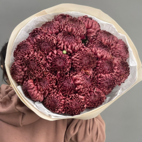 Букет 21 шоколадной хризантемы Бигоуди в Бронницах