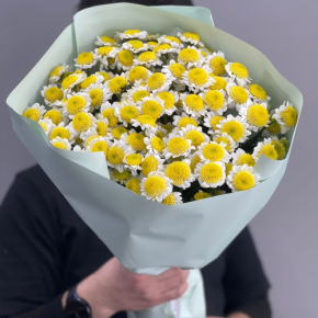 Букет "Моё солнышко" из 17 хризантем сантини  в Бронницах