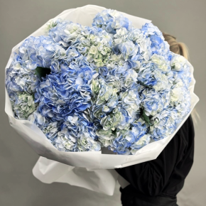 Букет из 23 синих гортензий в Бронницах