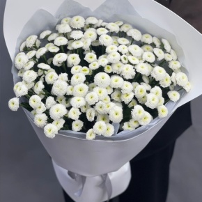 Букет "Белая дымка" из 25 хризантем сантини в Бронницах