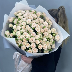 Букет из 25 кремовых кустовых роз (70 см) в Бронницах