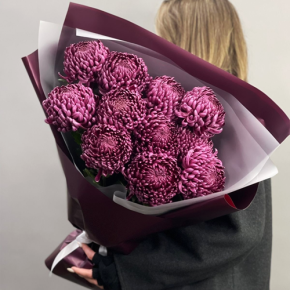 Букет "Изобилие" из 11 винных хризантем Бигоуди в Бронницах
