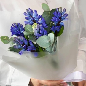Букет "Мини" из 5 ароматных гиацинтов и эвкалипта в Бронницах