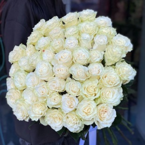 Букет из 51 розы Эквадор Мондиаль под ленту (80 см) в Бронницах