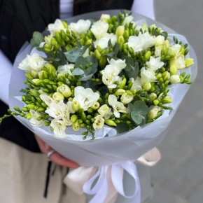 Букет из 51 белой фрезии в Бронницах