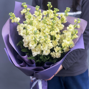 Букет из 15 лимонных маттиол в Бронницах