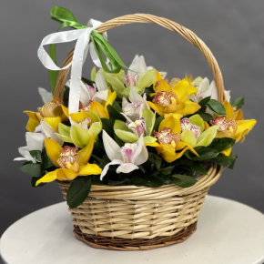 Композиция в корзине из 25 орхидей микс в Бронницах