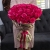 Букет 51 роза Эквадор Пинк Флоид (60 см) в Бронницах