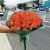 Букет из 51 мандариновой розы (40 см) в Бронницах