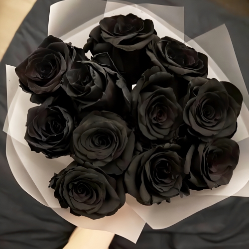 Букет "Черная королева" из 11 черных роз Эквадор (60 см) в Бронницах