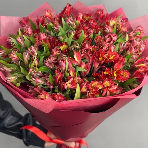 Монобукет из 25 красных альстромерий в Бронницах