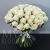 Букет 75 белых роз Эквадор Мондиаль (80 см) в Бронницах