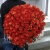 Букет 101 коралловая роза (60 см) в Бронницах