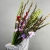 Букет из 25 гладиолусов микс в Бронницах Букет из 25 гладиолусов микс в Бронницах