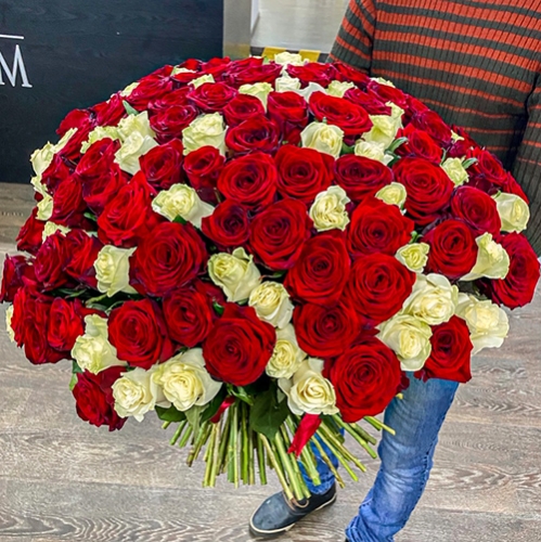 Букет 151 роза красный и белый микс (60 см) в Бронницах
