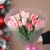 Букет "Фламинго" из 11 пионовидных тюльпанов в Бронницах