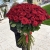 Букет из 101 красной розы (90 см) в Бронницах
