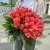Букет 51 роза коралл (60 см) в Бронницах