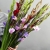 Букет из 25 гладиолусов микс в Бронницах Букет из 25 гладиолусов микс в Бронницах